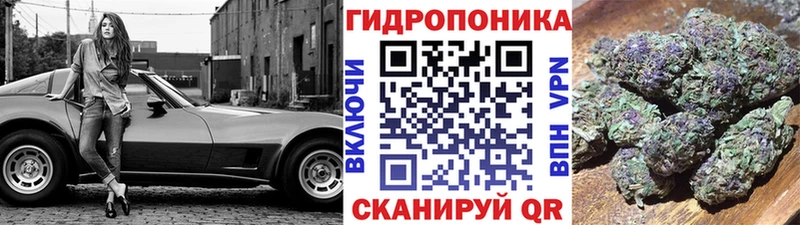 Конопля семена купить наркотик Лагань